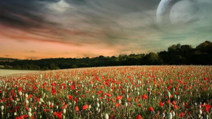 为什么水泥封不住尸臭?